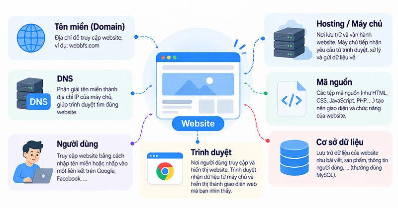 Website hoạt động như thế nào